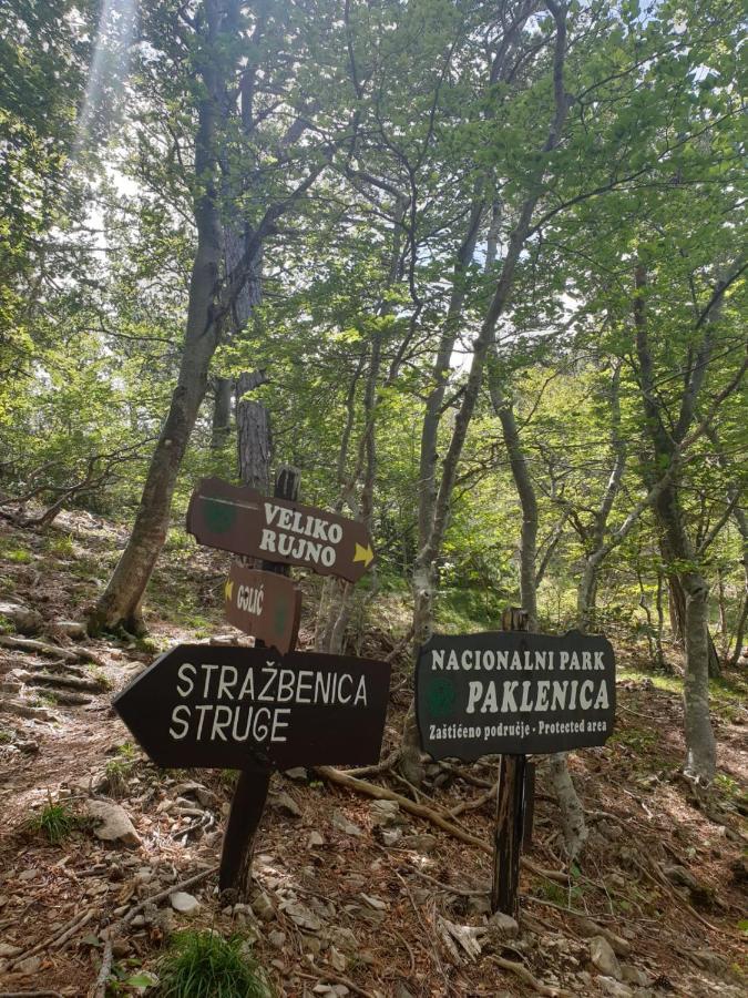 Апартаменты Vito Стариград-Пакленица Экстерьер фото